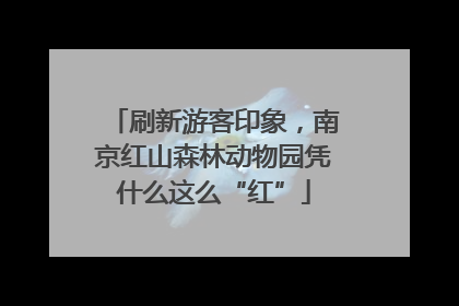 刷新游客印象，南京红山森林动物园凭什么这么“红”