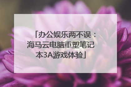 办公娱乐两不误：海马云电脑重塑笔记本3A游戏体验
