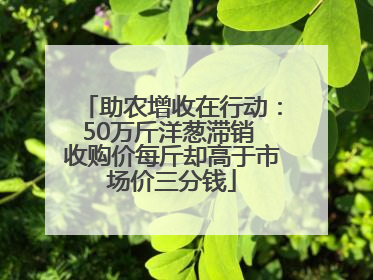助农增收在行动：50万斤洋葱滞销 收购价每斤却高于市场价三分钱