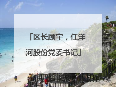 区长顾宇，任洋河股份党委书记