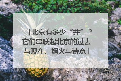北京有多少“井”？它们串联起北京的过去与现在、烟火与诗意