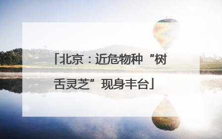 北京：近危物种“树舌灵芝”现身丰台
