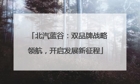 北汽蓝谷：双品牌战略领航，开启发展新征程