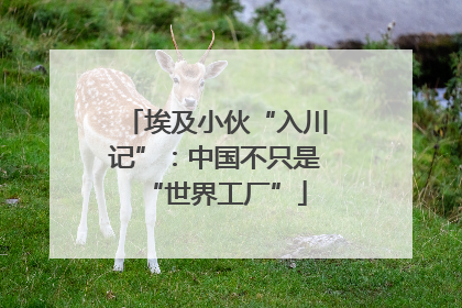 埃及小伙“入川记”：中国不只是“世界工厂”