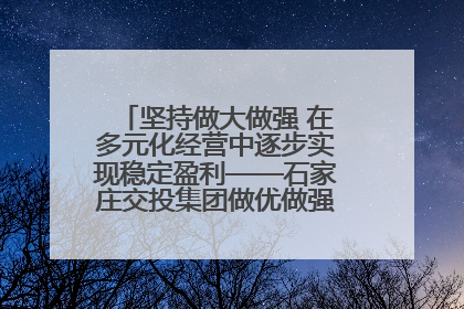 坚持做大做强 在多元化经营中逐步实现稳定盈利——石家庄交投集团做优做强典型报道之三