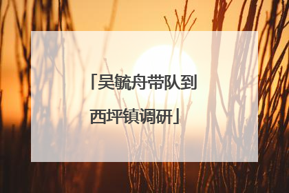 吴毓舟带队到西坪镇调研