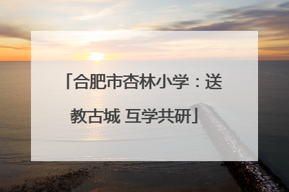 合肥市杏林小学：送教古城 互学共研