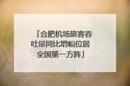 合肥机场旅客吞吐量同比增幅位居全国第一方阵