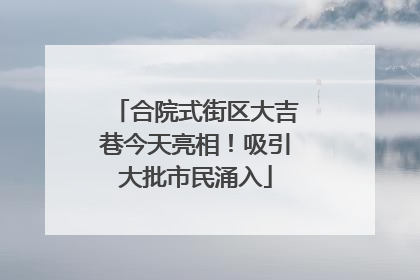 合院式街区大吉巷今天亮相！吸引大批市民涌入