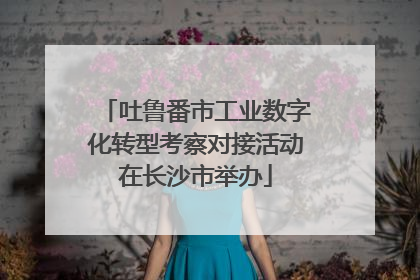 吐鲁番市工业数字化转型考察对接活动在长沙市举办