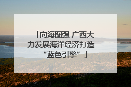 向海图强 广西大力发展海洋经济打造“蓝色引擎”