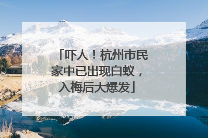 吓人！杭州市民家中已出现白蚁，入梅后大爆发