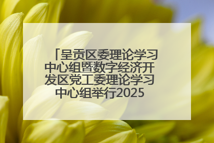 呈贡区委理论学习中心组暨数字经济开发区党工委理论学习中心组举行2025年第七次学习会议