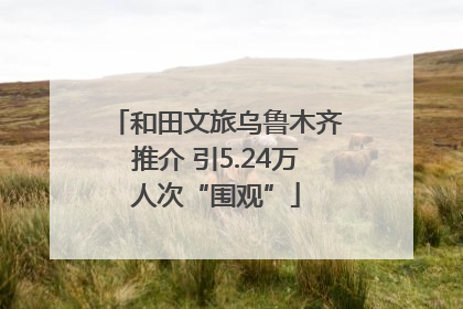 和田文旅乌鲁木齐推介 引5.24万人次“围观”