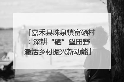 嘉禾县珠泉镇富硒村：深耕“硒”望田野 激活乡村振兴新动能