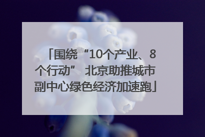 围绕“10个产业、8个行动” 北京助推城市副中心绿色经济加速跑