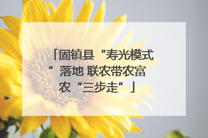 固镇县“寿光模式”落地 联农带农富农“三步走”