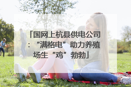 国网上杭县供电公司：“满格电”助力养殖场生“鸡”勃勃