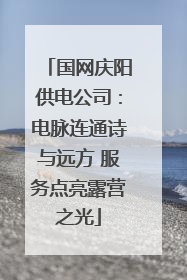 国网庆阳供电公司：电脉连通诗与远方 服务点亮露营之光