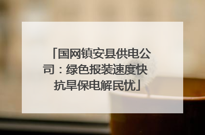 国网镇安县供电公司：绿色报装速度快 抗旱保电解民忧