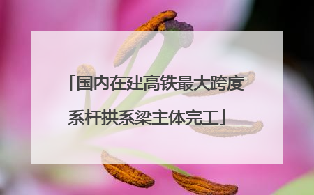 国内在建高铁最大跨度系杆拱系梁主体完工