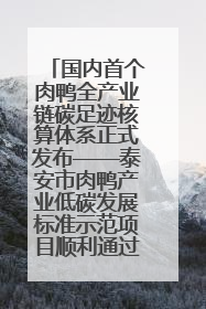 国内首个肉鸭全产业链碳足迹核算体系正式发布——泰安市肉鸭产业低碳发展标准示范项目顺利通过验收