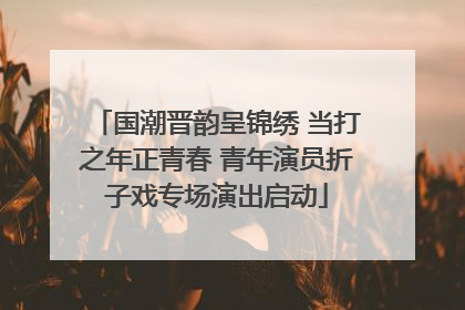 国潮晋韵呈锦绣 当打之年正青春 青年演员折子戏专场演出启动