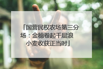 国营民权农场第三分场：金穗卷起千层浪 小麦收获正当时