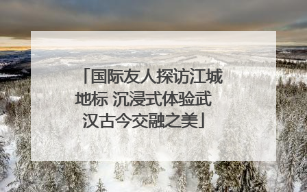国际友人探访江城地标 沉浸式体验武汉古今交融之美