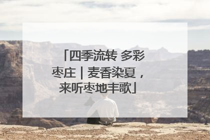 四季流转 多彩枣庄｜麦香染夏，来听枣地丰歌