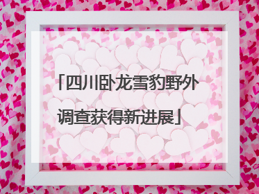 四川卧龙雪豹野外调查获得新进展