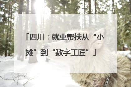 四川：就业帮扶从“小摊”到“数字工匠”