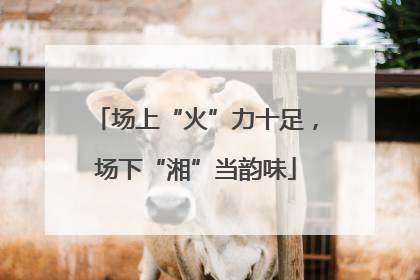 场上“火”力十足，场下“湘”当韵味