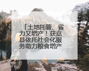 土地托管、省力又增产！获嘉县依托社会化服务助力粮食增产增收