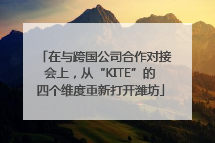 在与跨国公司合作对接会上，从“KITE”的四个维度重新打开潍坊