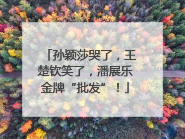 孙颖莎哭了，王楚钦笑了，潘展乐金牌“批发”！