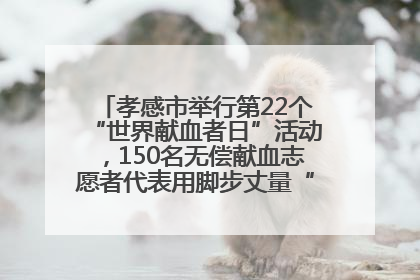 孝感市举行第22个“世界献血者日”活动，150名无偿献血志愿者代表用脚步丈量“中华孝爱第一山”