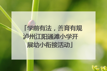 学前有法，善育有规 泸州江阳通滩小学开展幼小衔接活动