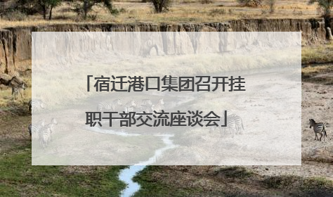 宿迁港口集团召开挂职干部交流座谈会