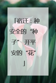 宿迁：种安全的“种子” 开平安的“花”