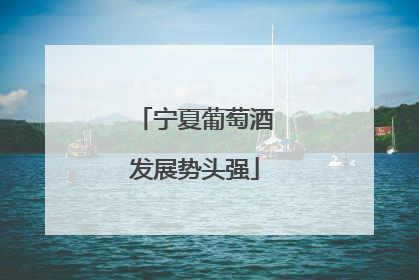 宁夏葡萄酒发展势头强