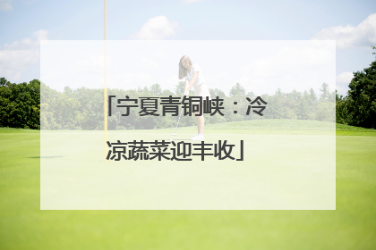 宁夏青铜峡：冷凉蔬菜迎丰收