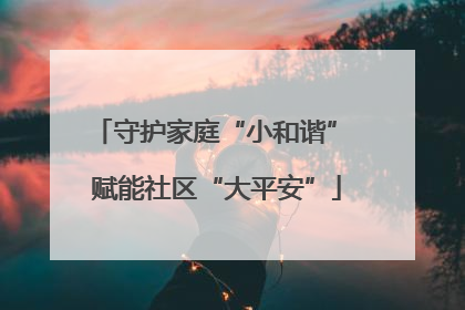 守护家庭“小和谐” 赋能社区“大平安”