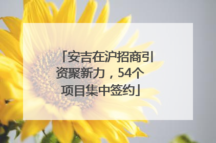 安吉在沪招商引资聚新力，54个项目集中签约