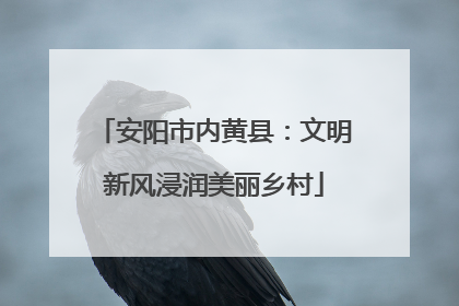 安阳市内黄县：文明新风浸润美丽乡村