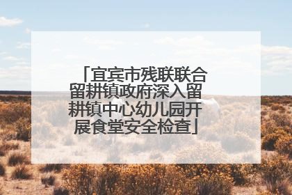 宜宾市残联联合留耕镇政府深入留耕镇中心幼儿园开展食堂安全检查
