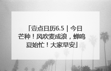 壹点日历6.5｜今日芒种！风吹麦成浪，蝉鸣夏始忙！大家早安