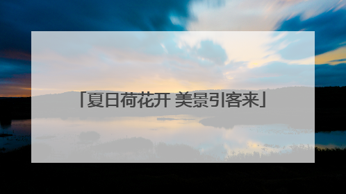 夏日荷花开 美景引客来