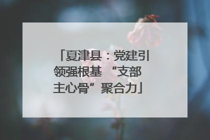 夏津县：党建引领强根基 “支部主心骨”聚合力