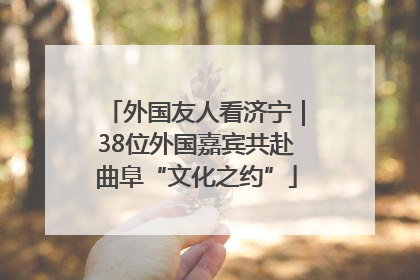 外国友人看济宁｜38位外国嘉宾共赴曲阜“文化之约”